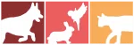 kleintierpraxis_bornhorst_paderborn_logo