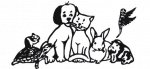 tierheim_paderborn_logo