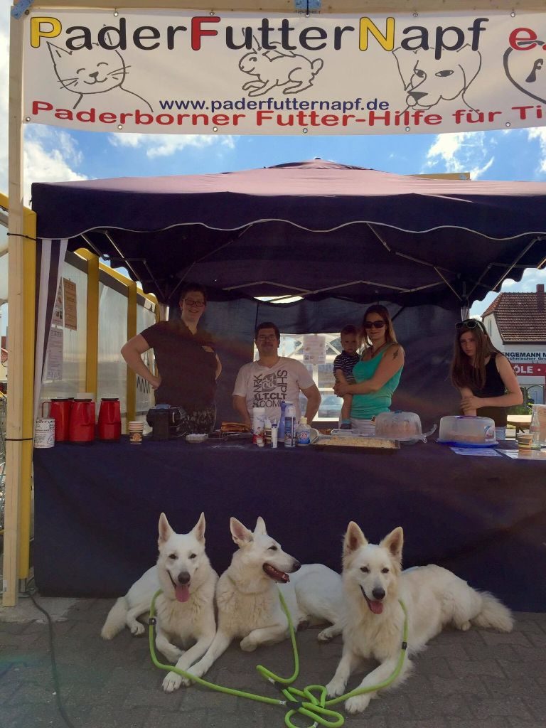 Toller „Tag des Hundes“ beim Futterhaus
