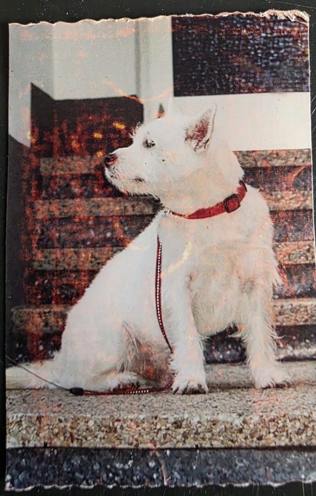 Bodo hinterlässt viele Sachen für unsere Schützlinge