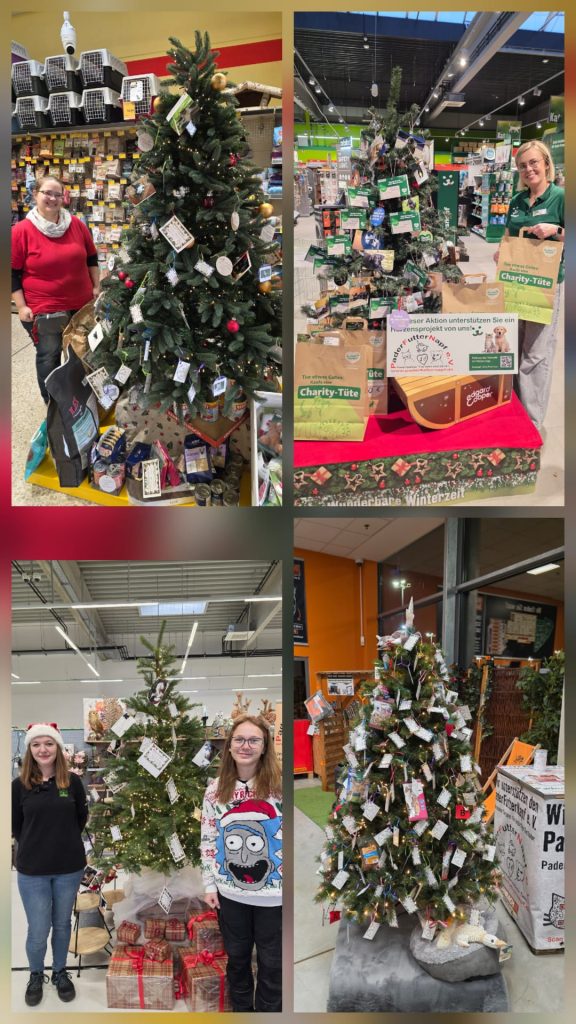 Weihnachts-Wunschbäume für die Vierbeiner unserer Gäste