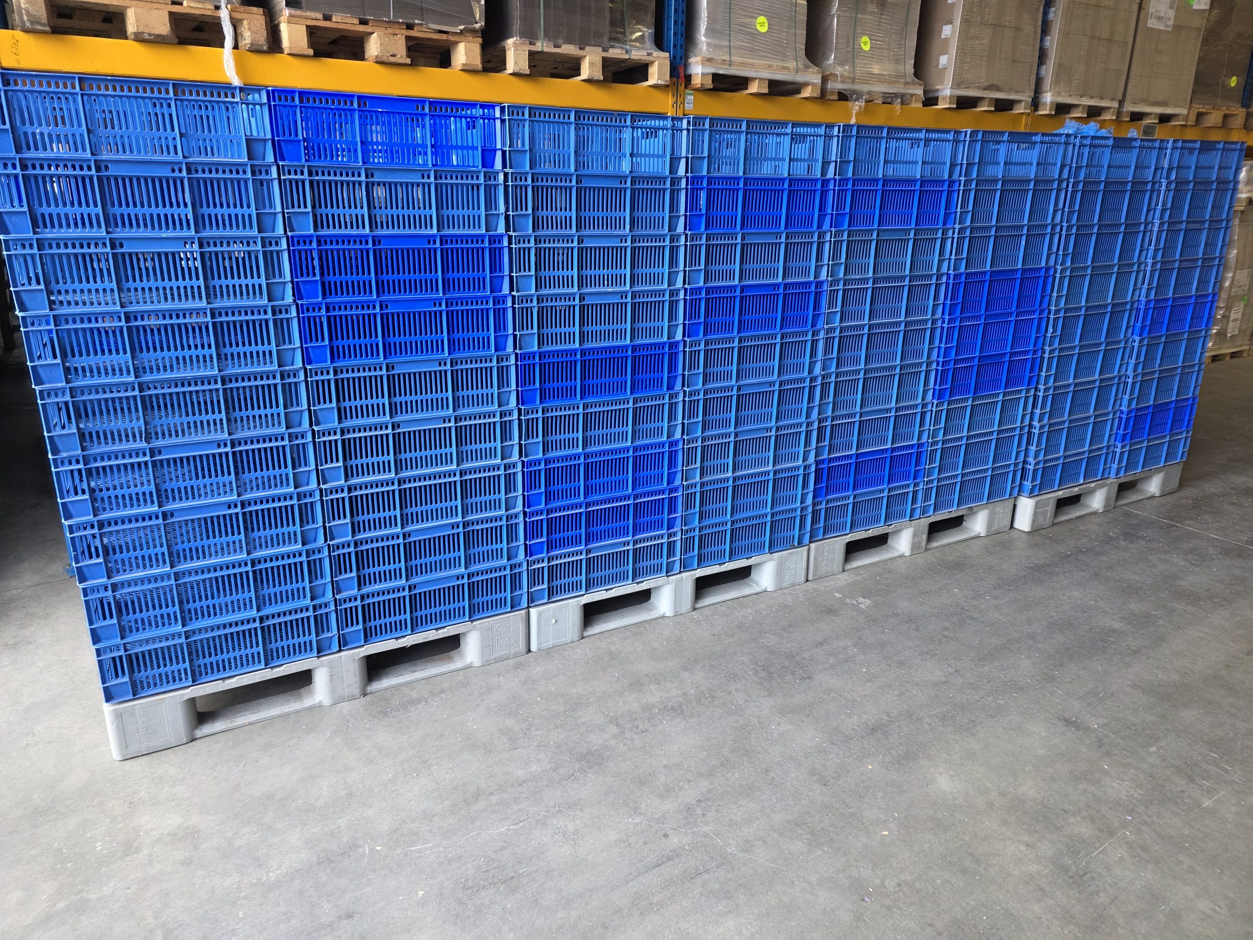 Leckerchen von Pet-Trade