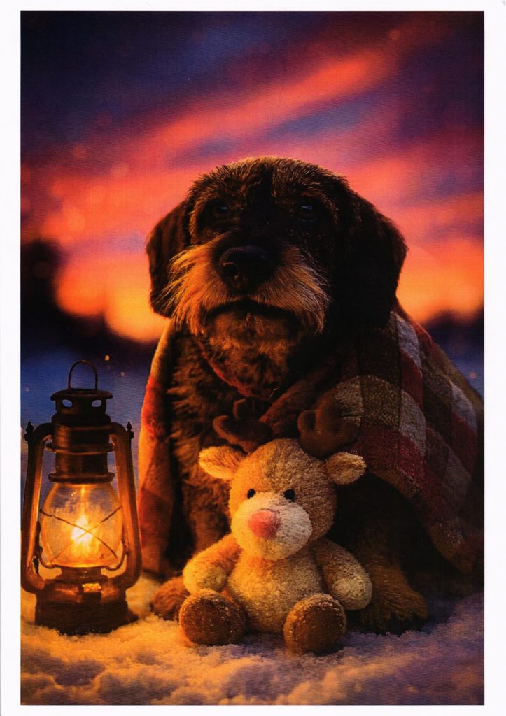 Wir trauern um Benno