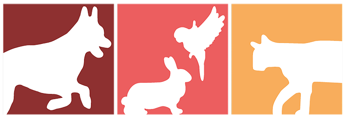 kleintierpraxis_bornhorst_paderborn_logo