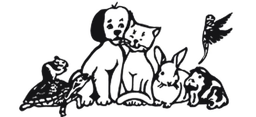 tierheim_paderborn_logo