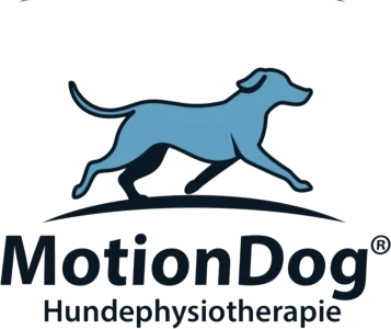 MotionDog